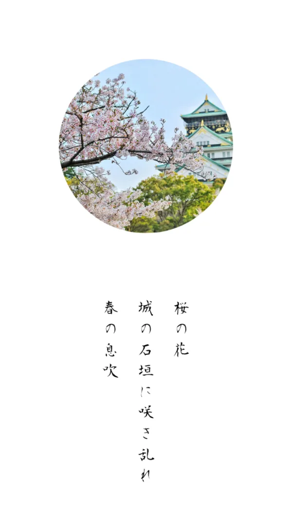 詩カード：大阪城の石垣と満開の桜、丸い切り抜きに縦書きの詩