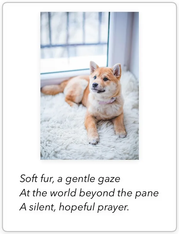 Poem card: a Shiba Inu puppy on a sheepskin rug, looking out of a window